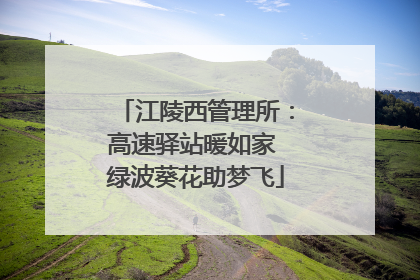 江陵西管理所：高速驿站暖如家 绿波葵花助梦飞