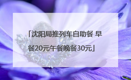 沈阳局推列车自助餐 早餐20元午餐晚餐30元