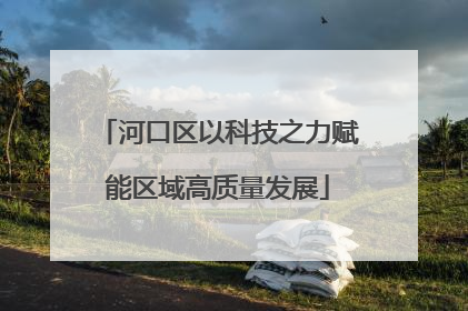 河口区以科技之力赋能区域高质量发展
