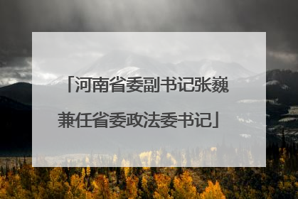 河南省委副书记张巍兼任省委政法委书记