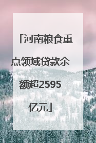河南粮食重点领域贷款余额超2595亿元