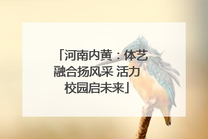河南内黄：体艺融合扬风采 活力校园启未来