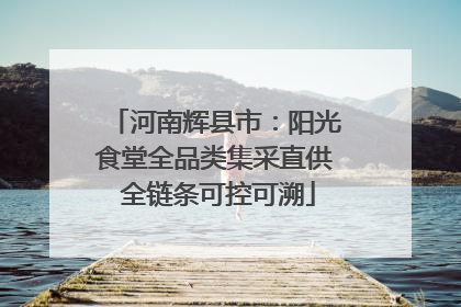 河南辉县市：阳光食堂全品类集采直供 全链条可控可溯