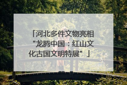 河北多件文物亮相“龙腾中国：红山文化古国文明特展”