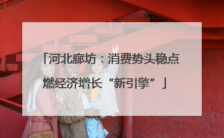 河北廊坊：消费势头稳点燃经济增长“新引擎”