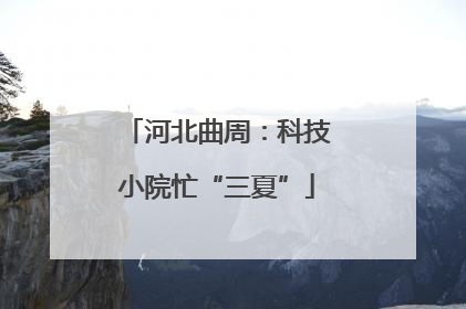 河北曲周：科技小院忙“三夏”