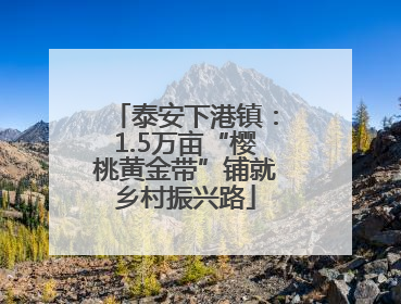 泰安下港镇：1.5万亩“樱桃黄金带”铺就乡村振兴路