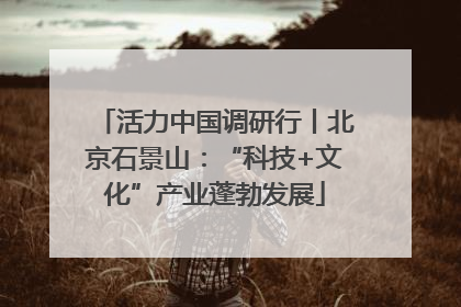 活力中国调研行丨北京石景山：“科技+文化”产业蓬勃发展