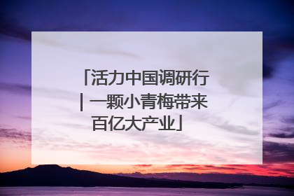 活力中国调研行｜一颗小青梅带来百亿大产业