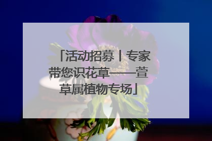 活动招募丨专家带您识花草——萱草属植物专场