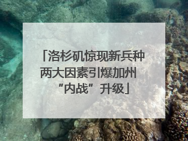 洛杉矶惊现新兵种 两大因素引爆加州“内战”升级