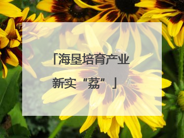海垦培育产业新实“荔”