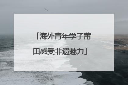海外青年学子莆田感受非遗魅力