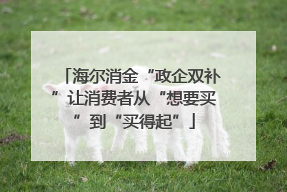 海尔消金“政企双补”让消费者从“想要买”到“买得起”