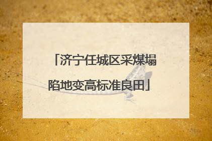 济宁任城区采煤塌陷地变高标准良田