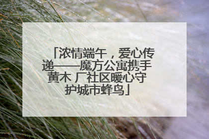 浓情端午，爱心传递——魔方公寓携手黄木 厂社区暖心守护城市蜂鸟