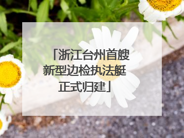 浙江台州首艘新型边检执法艇正式归建
