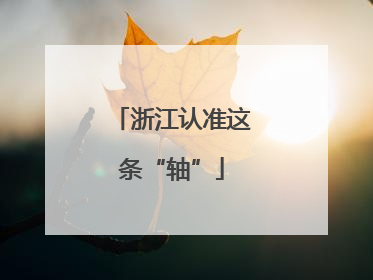 浙江认准这条“轴”