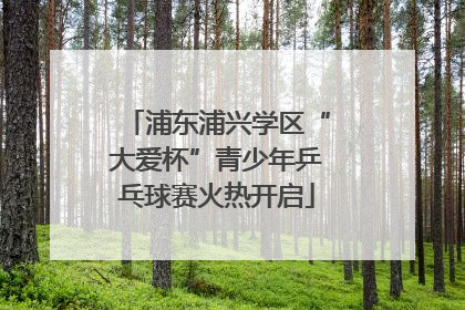 浦东浦兴学区“大爱杯”青少年乒乓球赛火热开启