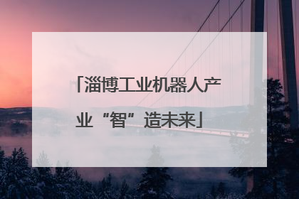 淄博工业机器人产业“智”造未来