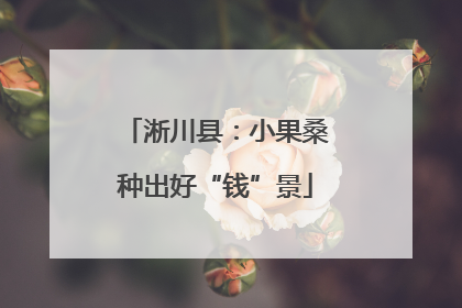 淅川县：小果桑种出好“钱”景