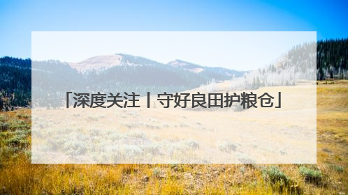 深度关注丨守好良田护粮仓