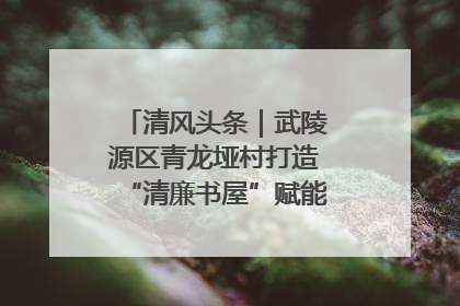 清风头条｜武陵源区青龙垭村打造“清廉书屋”赋能乡村振兴新风尚
