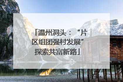 温州洞头：“片区组团强村发展”探索共富新路