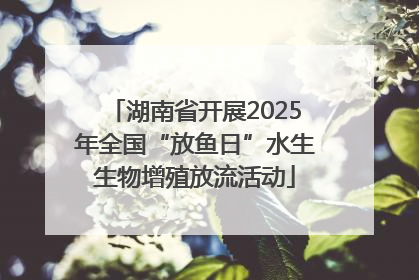 湖南省开展2025年全国“放鱼日”水生生物增殖放流活动