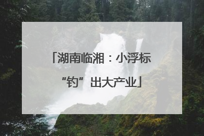 湖南临湘：小浮标“钓”出大产业