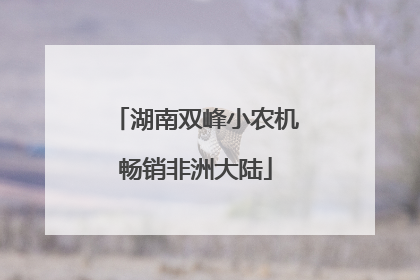 湖南双峰小农机畅销非洲大陆
