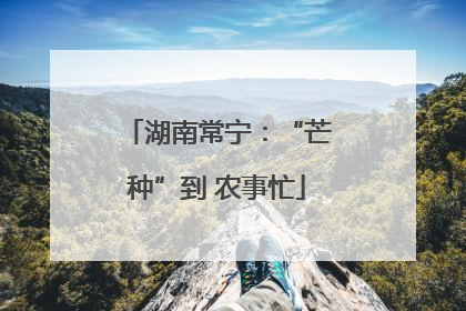 湖南常宁：“芒种”到 农事忙