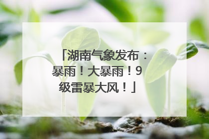 湖南气象发布：暴雨！大暴雨！9级雷暴大风！