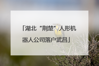 湖北“荆楚”人形机器人公司落户武昌