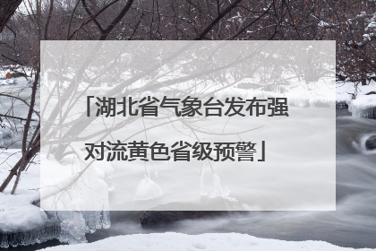湖北省气象台发布强对流黄色省级预警