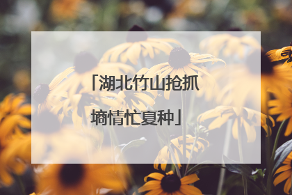 湖北竹山抢抓墒情忙夏种