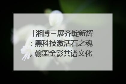 湘博三展齐绽新辉：黑科技激活石之魂，翰墨金影共谱文化遗产日华章