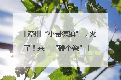 漳州“小景德镇”，火了！来，“碰个瓷”