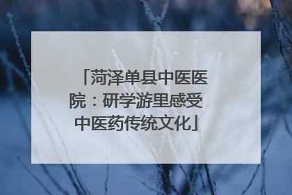菏泽单县中医医院：研学游里感受中医药传统文化