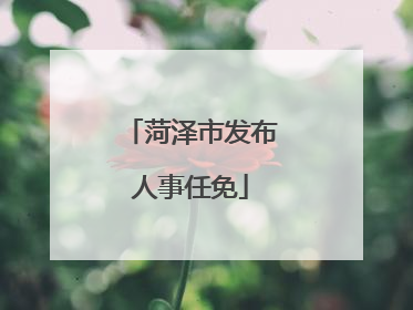 菏泽市发布人事任免