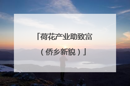 荷花产业助致富（侨乡新貌）
