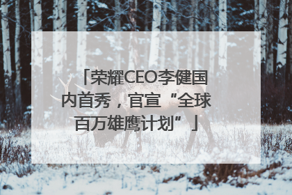 荣耀CEO李健国内首秀，官宣“全球百万雄鹰计划”