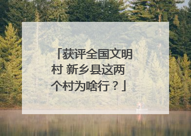 获评全国文明村 新乡县这两个村为啥行？