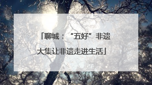 聊城：“五好”非遗大集让非遗走进生活