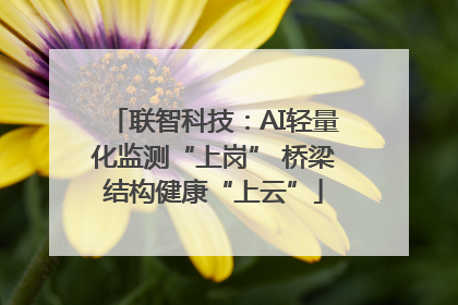 联智科技：AI轻量化监测“上岗” 桥梁结构健康“上云”