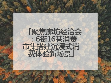 聚焦廊坊经洽会：6街16巷消费市集搭建沉浸式消费体验新场景