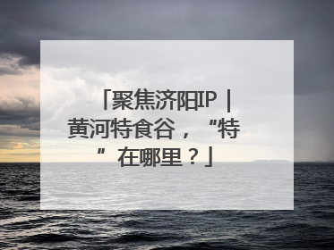 聚焦济阳IP｜黄河特食谷，“特”在哪里？