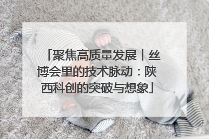 聚焦高质量发展丨丝博会里的技术脉动：陕西科创的突破与想象