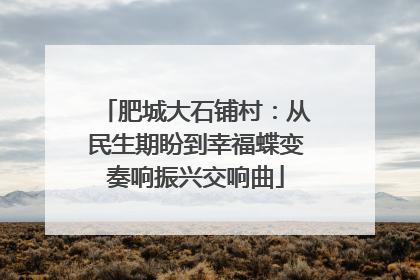 肥城大石铺村：从民生期盼到幸福蝶变奏响振兴交响曲