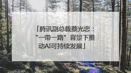 腾讯副总裁蔡光忠：“一带一路”背景下推动AI可持续发展